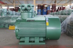 氣體防爆電機ExdIIBT4Gb的是什么意思？