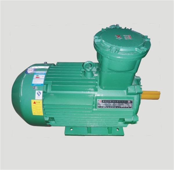 粉塵防爆電機(jī)